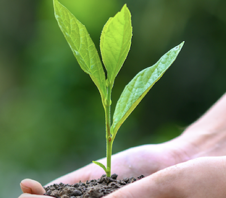 Bildschirmfoto_2025-03-17_um_09